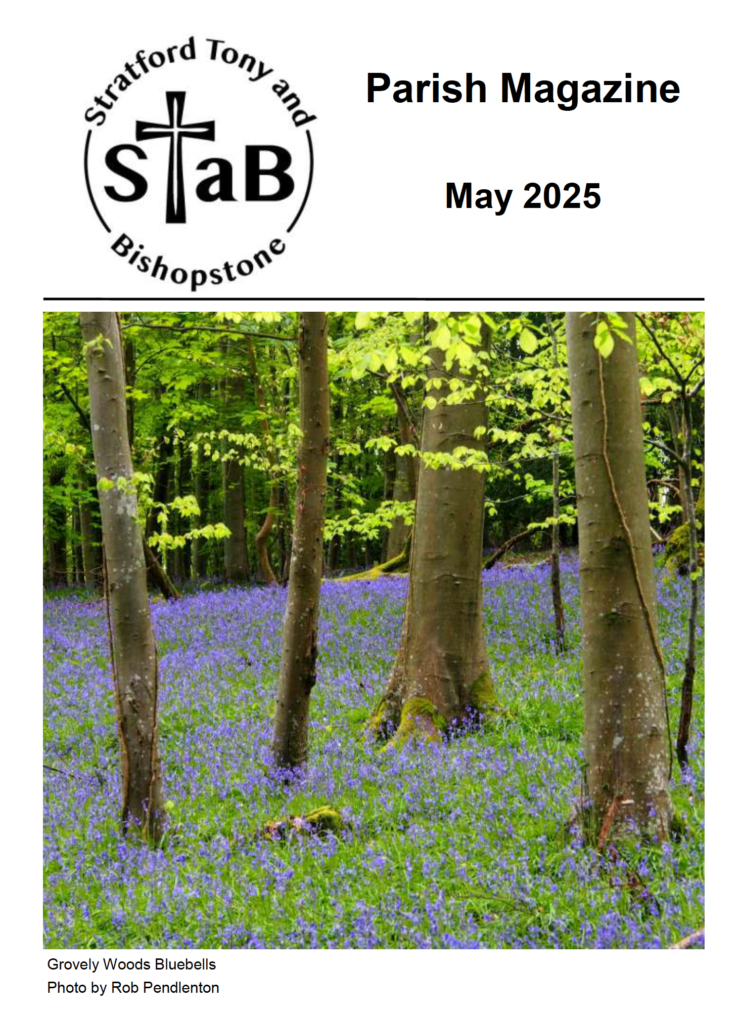 Cover of STaB March 2025